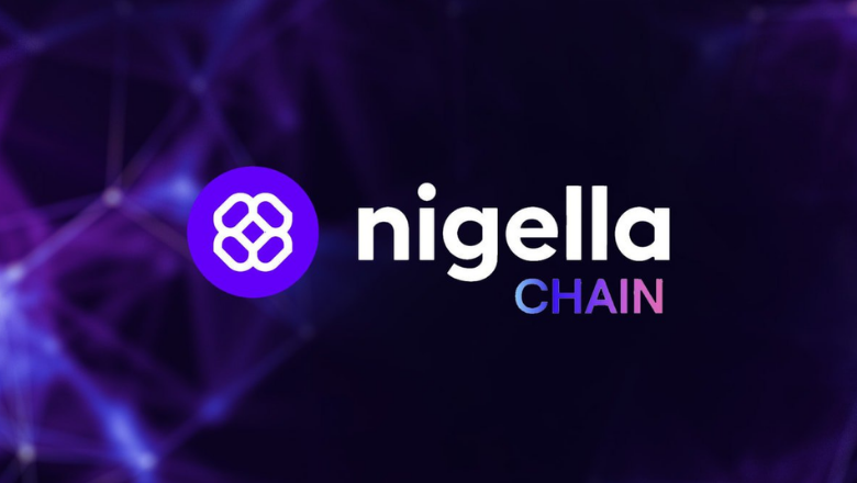Nigella Chain (2)